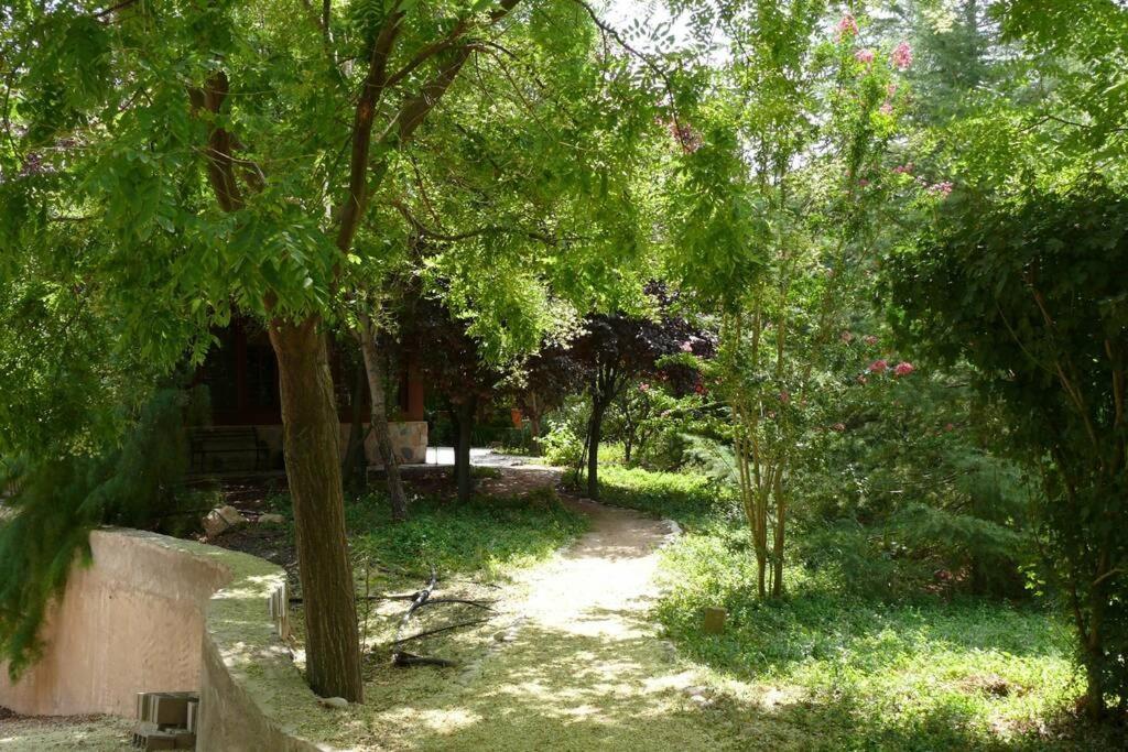 Casa En El Campo Con Encanto Альманса Екстер'єр фото