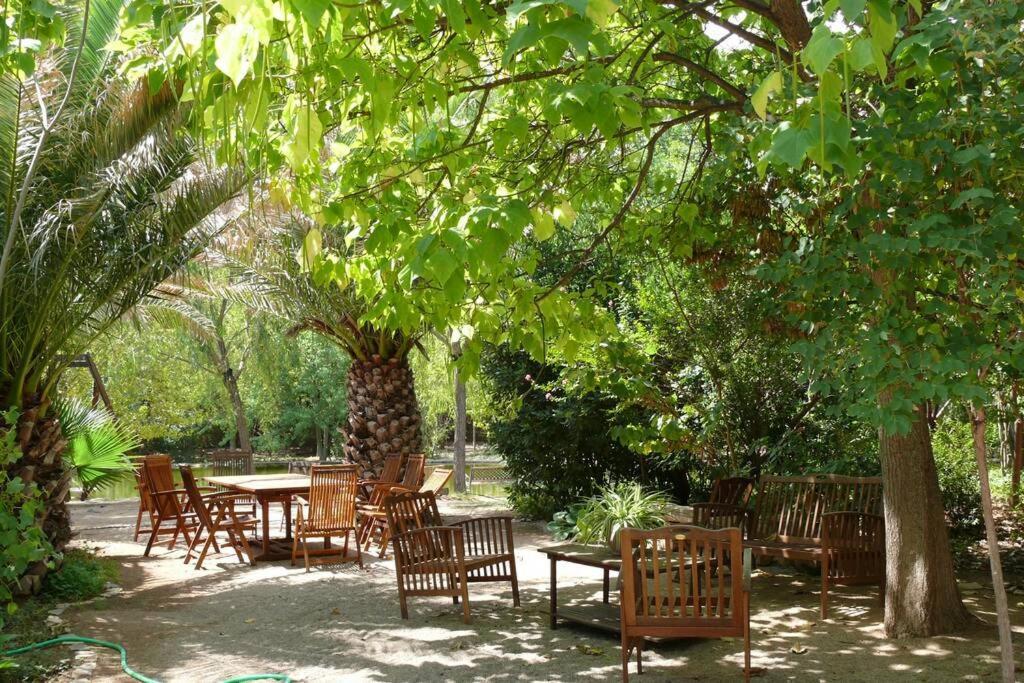 Casa En El Campo Con Encanto Альманса Екстер'єр фото